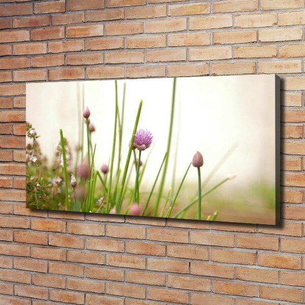 Bild auf leinwand Schnittlauch