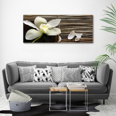 Wandbild Orchidee