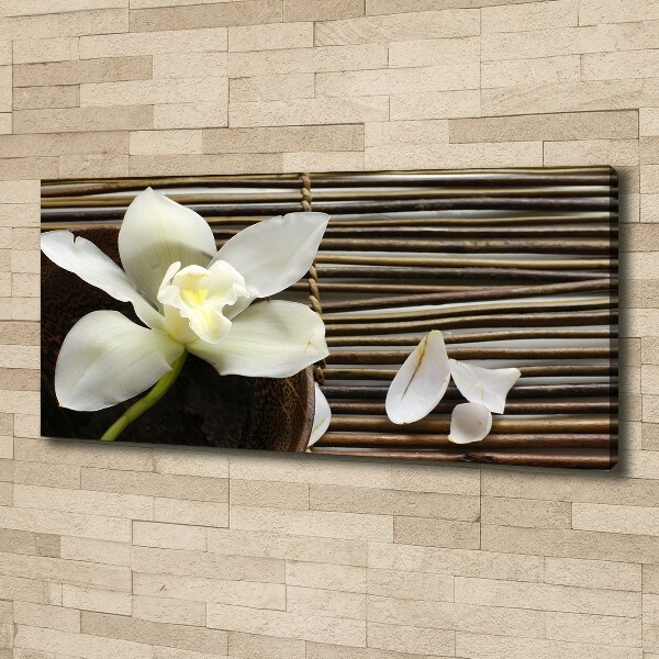 Wandbild Orchidee