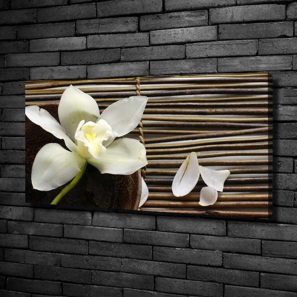 Wandbild Orchidee