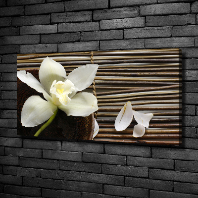 Wandbild Orchidee