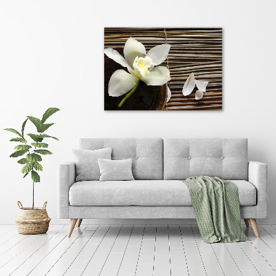 Wandbild Orchidee