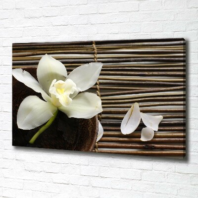 Wandbild Orchidee