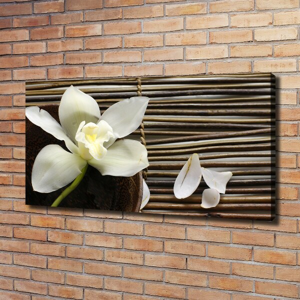 Wandbild Orchidee