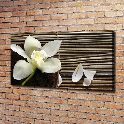 Wandbild Orchidee