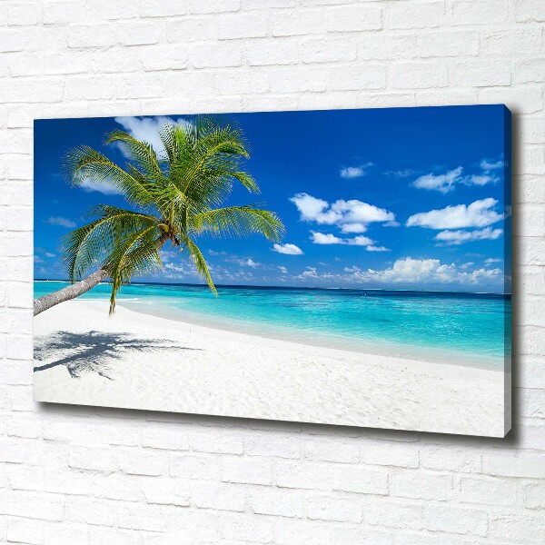 Wandbild Tropischer Strand