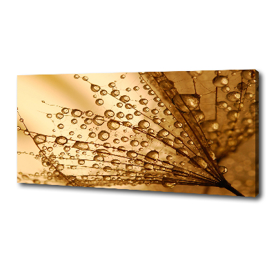 Bild auf leinwand Löwenzahnsamen