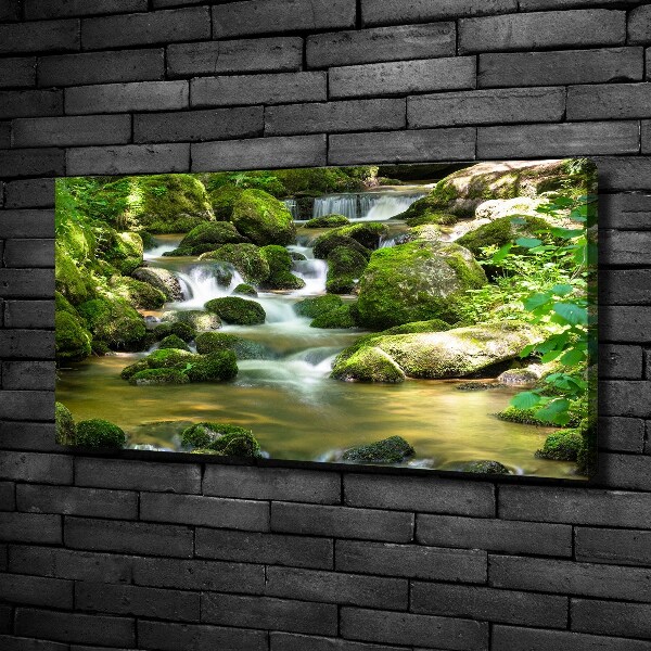 Wandbild Wasserfall