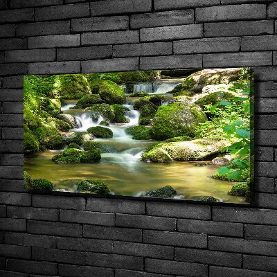 Wandbild Wasserfall