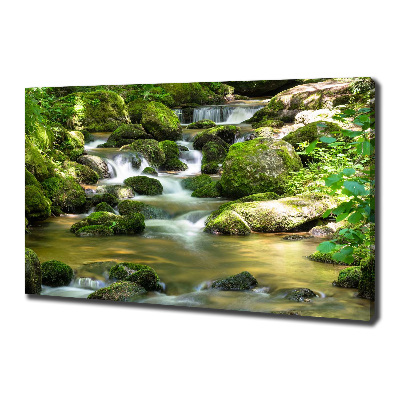 Wandbild Wasserfall