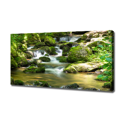 Wandbild Wasserfall