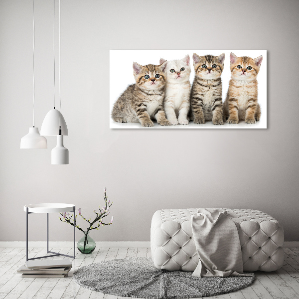 Bild auf leinwand Kleine Katzen