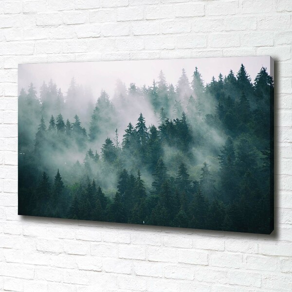 Wandbild Nebel über dem Wald