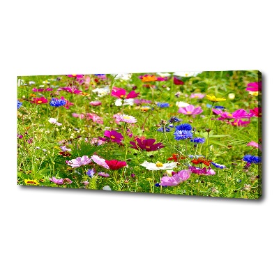 Bild auf leinwand Wildblumen