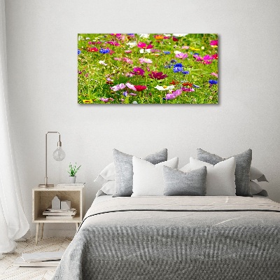 Bild auf leinwand Wildblumen
