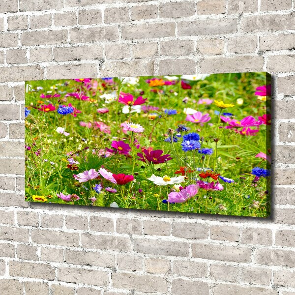 Bild auf leinwand Wildblumen