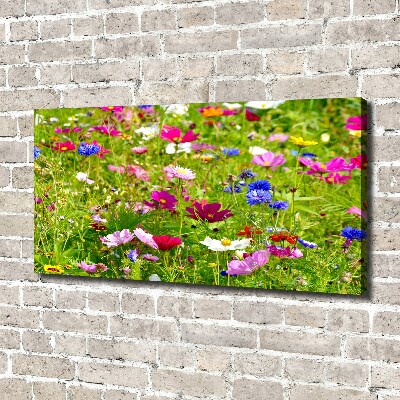 Bild auf leinwand Wildblumen