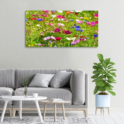 Bild auf leinwand Wildblumen