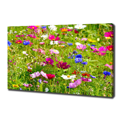 Bild auf leinwand Wildblumen