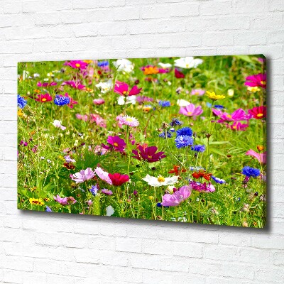 Bild auf leinwand Wildblumen