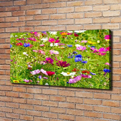 Bild auf leinwand Wildblumen