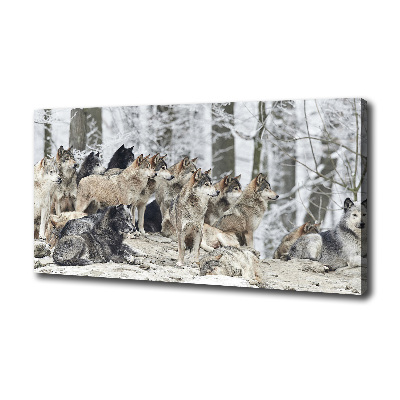 Bild auf leinwand Wölfe im Winter