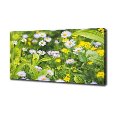 Wandbild Gänseblümchen
