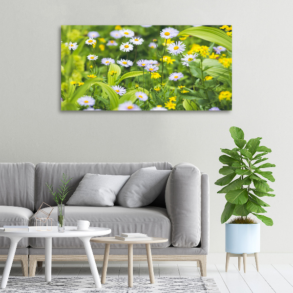 Wandbild Gänseblümchen