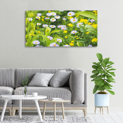 Wandbild Gänseblümchen