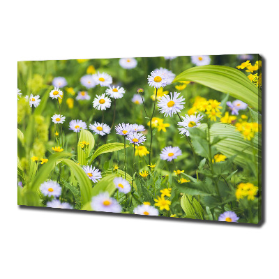 Wandbild Gänseblümchen
