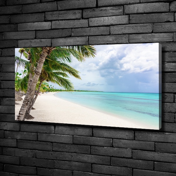 Bild auf leinwand Tropischer Strand