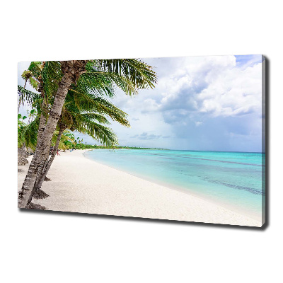 Bild auf leinwand Tropischer Strand