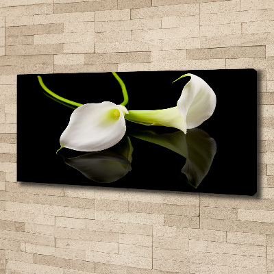 Bild auf leinwand Calla