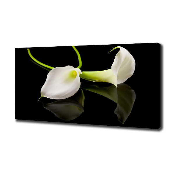 Bild auf leinwand Calla