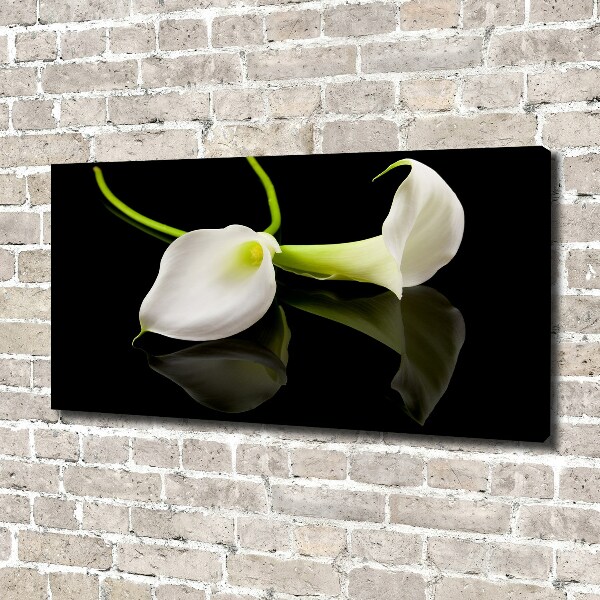 Bild auf leinwand Calla