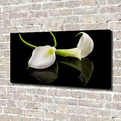 Bild auf leinwand Calla