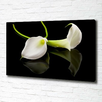 Bild auf leinwand Calla