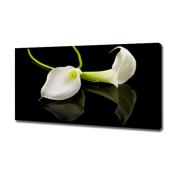 Bild auf leinwand Calla