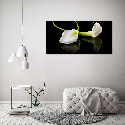 Bild auf leinwand Calla