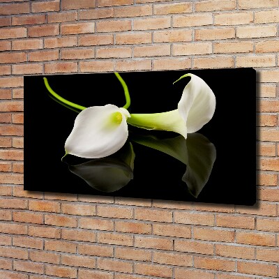 Bild auf leinwand Calla