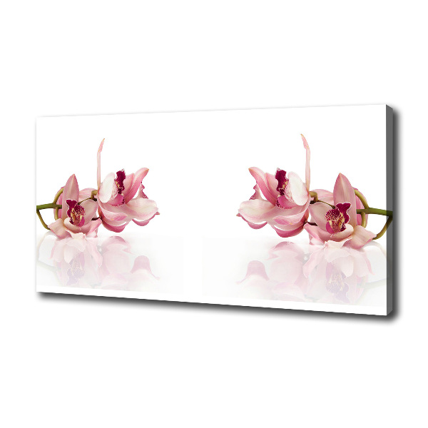 Wandbild Orchidee