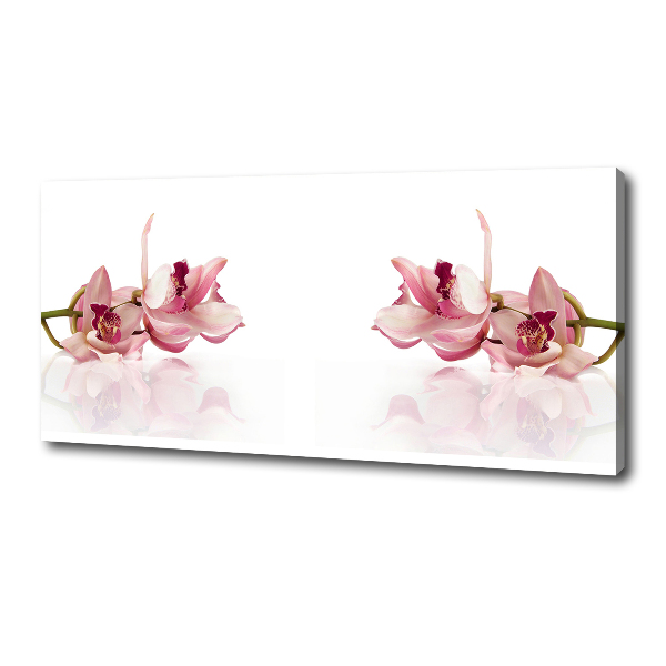 Wandbild Orchidee