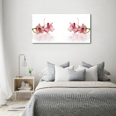 Wandbild Orchidee