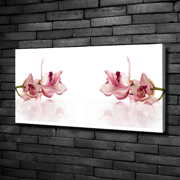 Wandbild Orchidee