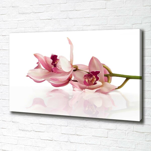 Wandbild Orchidee