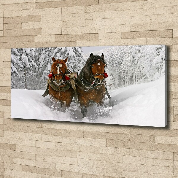 Fotobild Schlittenfahrt