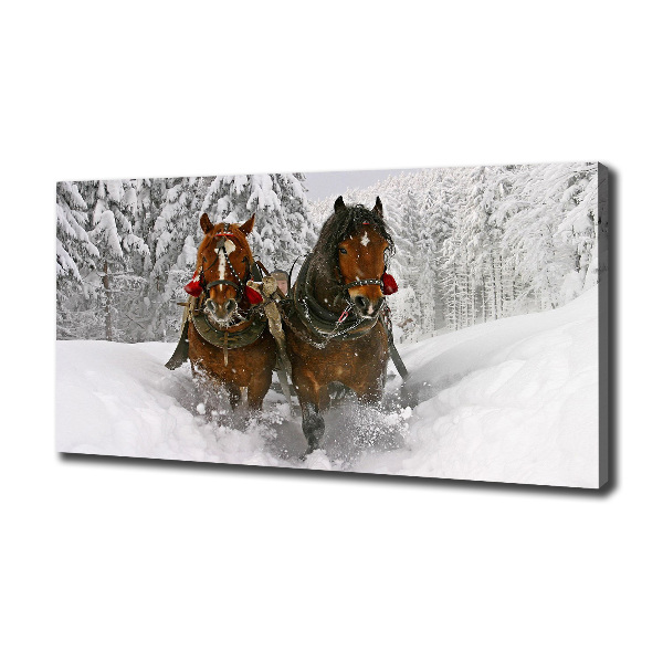 Fotobild Schlittenfahrt