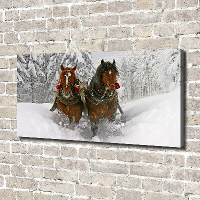 Fotobild Schlittenfahrt