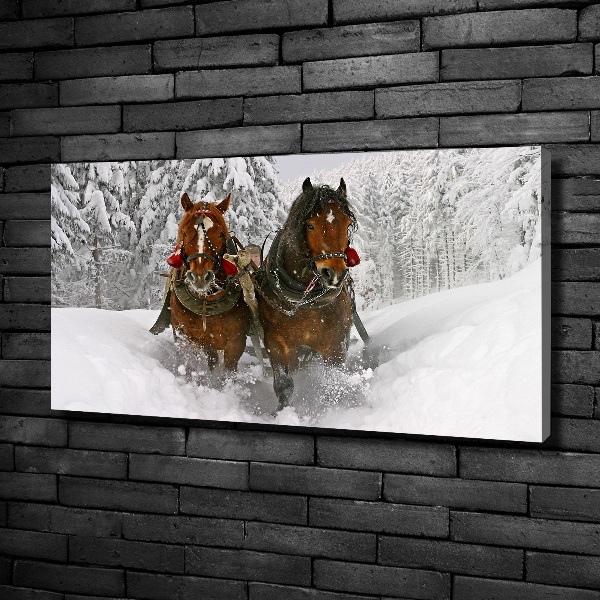 Fotobild Schlittenfahrt