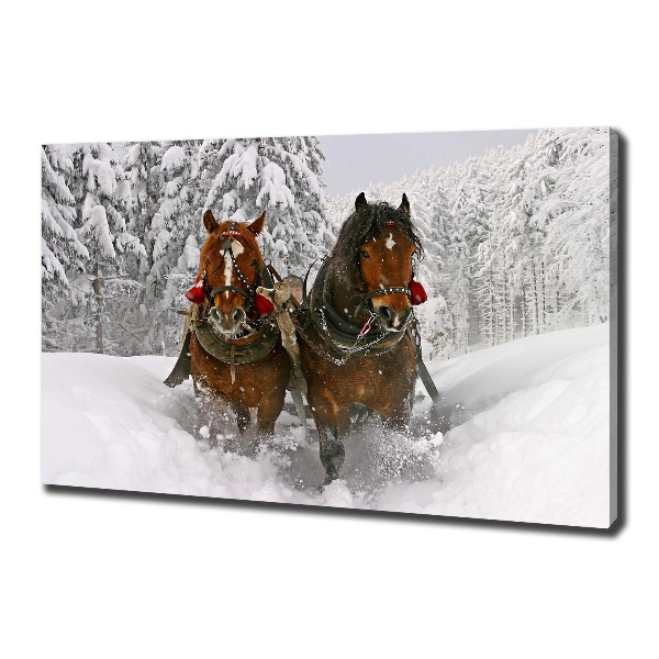 Fotobild Schlittenfahrt